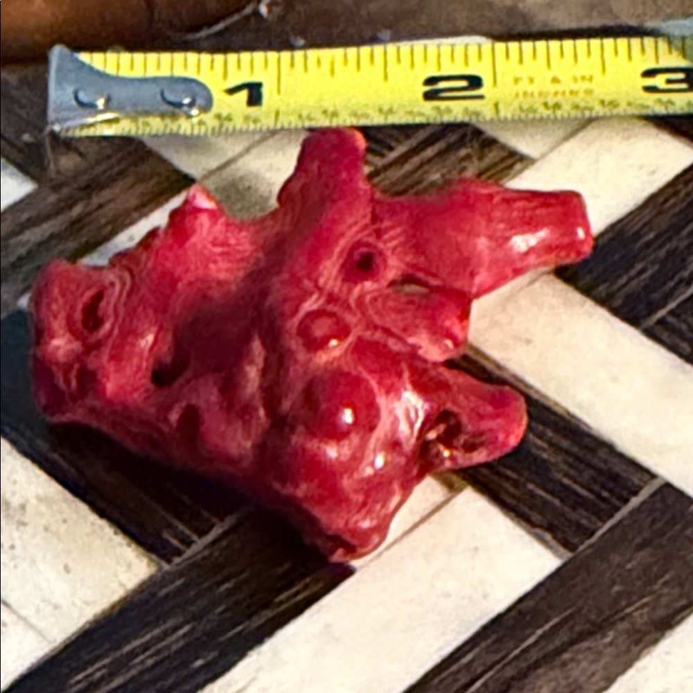 Red coral piece for Jewelry project I have had this for forty years